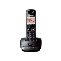 Dect/Gap Panasonic KX-TG2511GRT Black