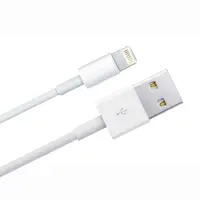 Data Cable Apple for iPhone Lightning MQUE2ZM/A Original 1m