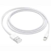 Data Cable Apple for iPhone Lightning MQUE2ZM/A Original 1m