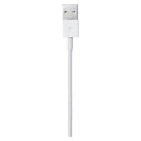 Data Cable Apple for iPhone Lightning MXLY2ZM/A Original 1m