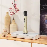 Wireless Microphone Hoco BK9 Singing 15W with Karaoke Function FM Transmission and BT / Audio Input Gold