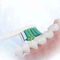 Sencor SOX 015 Premium Toothbrush Heads Designed for Gum Regeneration and Protection Compatible with Sencor SOC 1,2,3 Series Toothbrushes