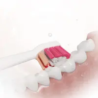 Sencor SOX 016 Toothbrush Heads 3D Shaped for Deep Cleaning and Polishing Compatible with Sencor SOC 1,2,3 Series Toothbrushes
