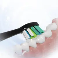 Sencor SOX 102 Premium Toothbrush Head W-shaped for Deep and Effective Cleaning Compatible with Sencor SOC 4210BL/4211GD Toothbrushes