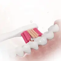 Sencor SOX 103 Whitening Toothbrush Head Compatible with Sencor SOC 4210BL/4211GD Toothbrushes