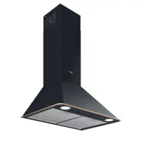 TEKA Wall Chimney Extractor 4 Speeds with Traditional Design 600m3/h 60cm DOS 60.2  AT Anthracite