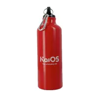 Thermos Bottle Energizer