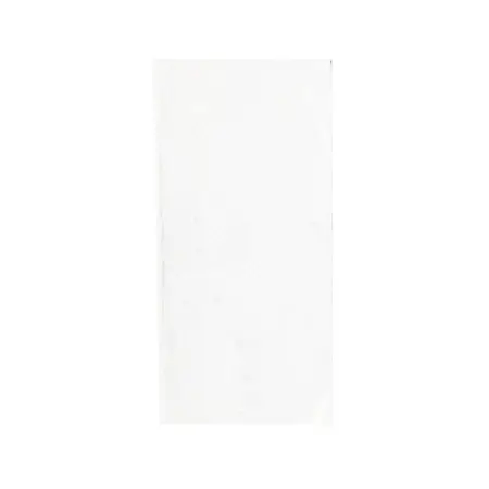 Transparent Multi-Purpose Bag 13 x 6 cm 10pcs