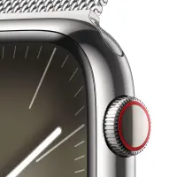 Apple Watch Series 9 45mm GPS eSim NFC IP6X Stainless Steel Case Silver with Silver Milanese Loop MRMQ3QF/A