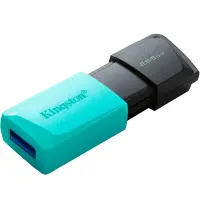 USB 3.2 Kingston Flash Drive Exodia M 256GB DTXM/256GB